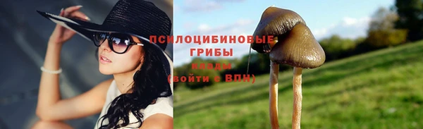 каннабис Алзамай