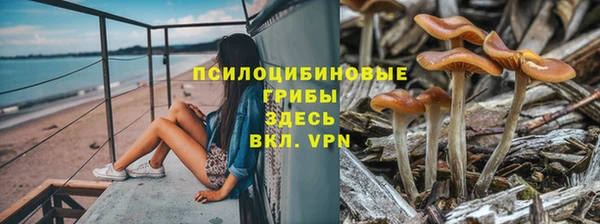 каннабис Алзамай