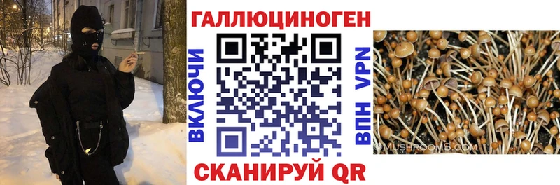 Галлюциногенные грибы Magic Shrooms Черемхово
